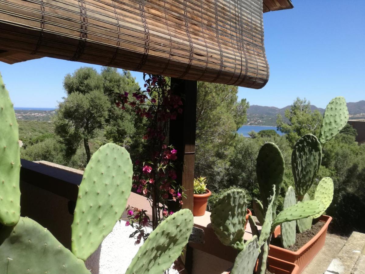 Lucianasit Apartment Cugnana Verde Luaran gambar